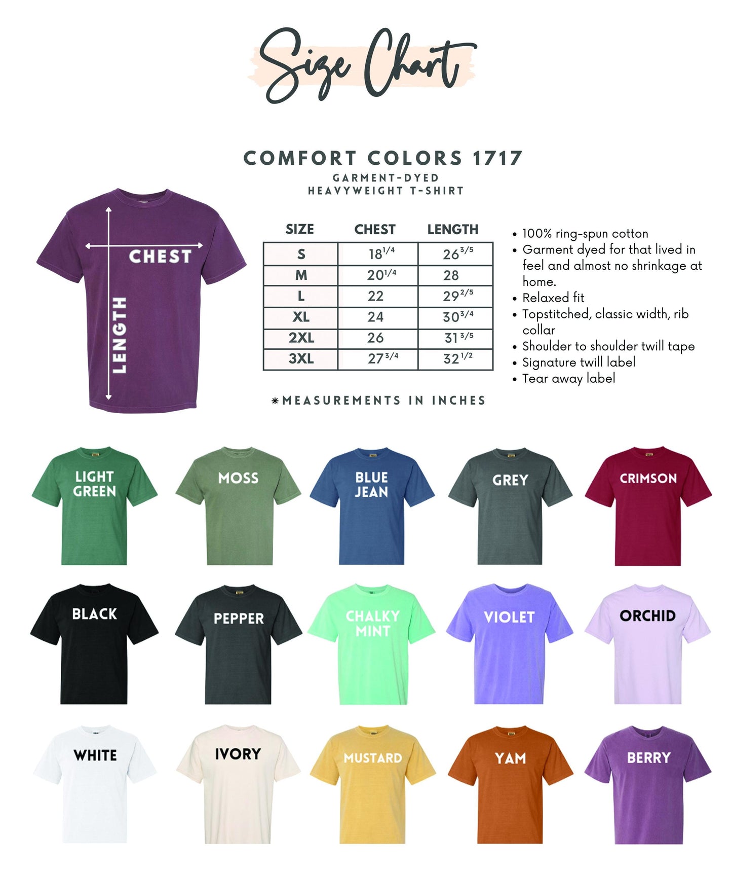 Registered Nurse Embroidered Comfort Colors® T-Shirt – Nursing Graduation Gift, Est. 2024, Nurse Gift, Healthcare Tee, Embroidered Design