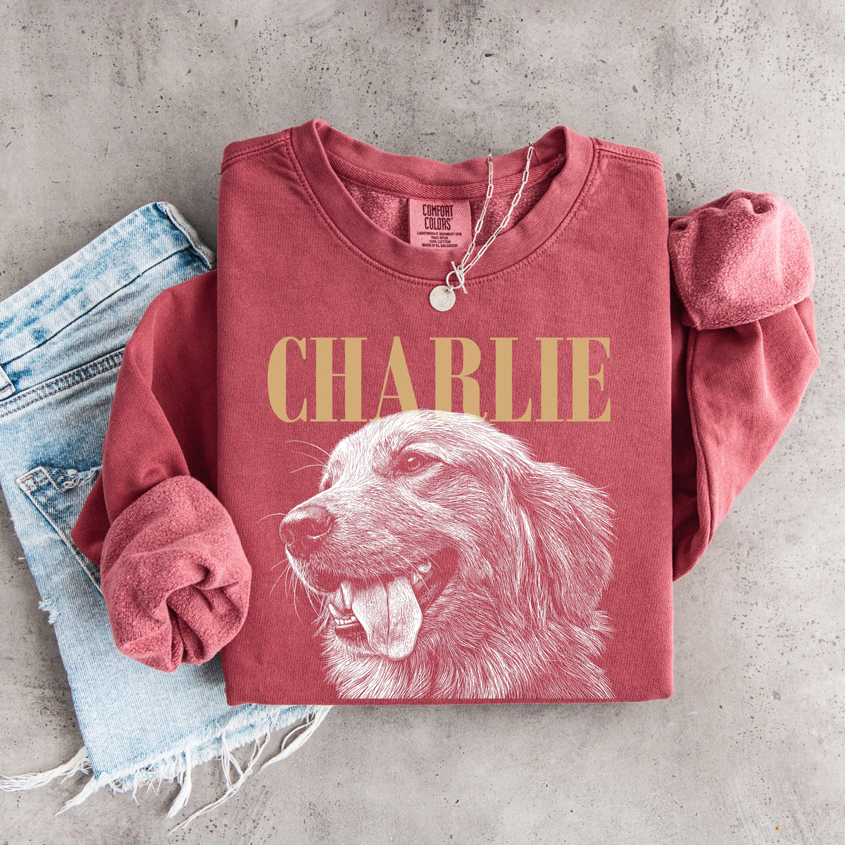 Custom Pet Portrait Sweatshirt from Photo