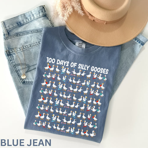 100 Days of Silly Gooses Shirt, 100th Day of School Teacher Gift, Cute Goose Crewneck, 100 Days of School T-Shirt, 100 Days Smarter Kids Tee