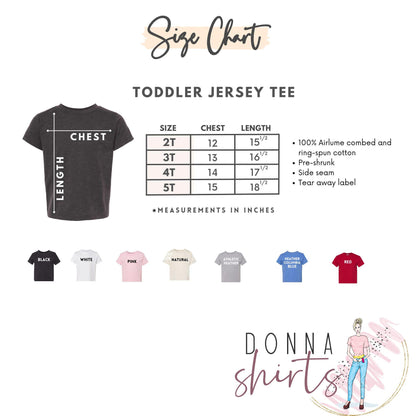 Big sister Coquette Bow Retro Toddler Shirt, Matching Sister Shirt,  Little sister Shirt, Pregnancy Announcement Shirt,Big Sis Lil Sis Shirt